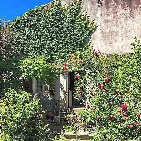 Daire Du Figuier, Maison De