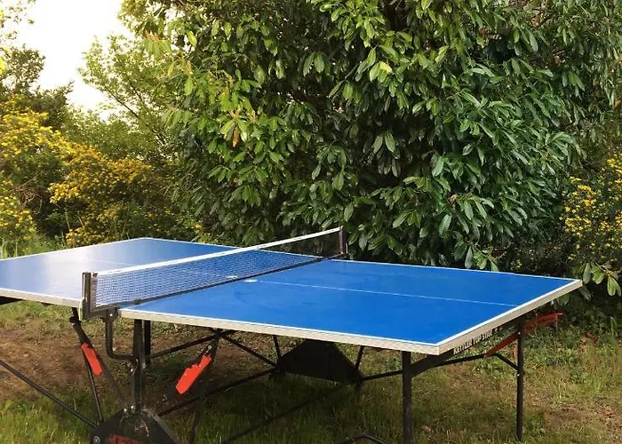 Appartement Du Figuier, Maison De