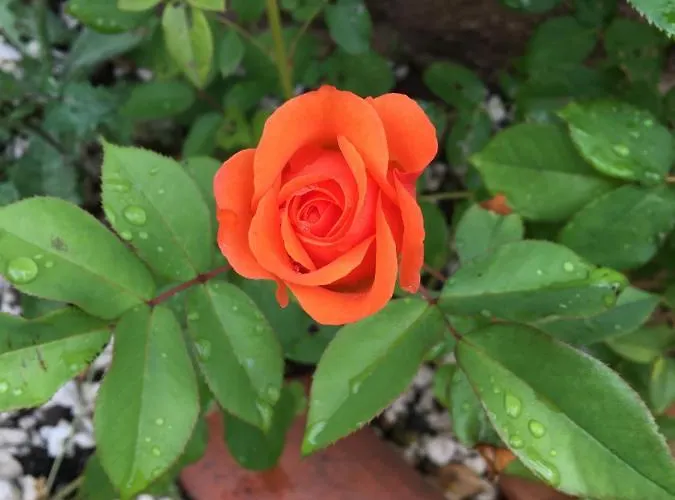 Du Figuier, Maison De Appartement Le Bousquet-d'Orb